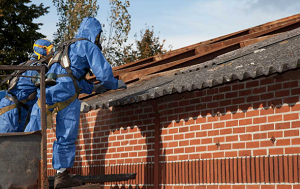 Reliable Asbestos Removal of New York City